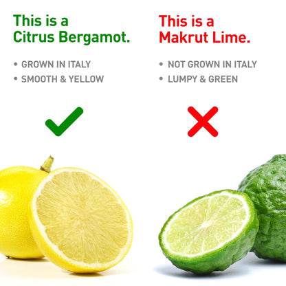 BergaMet Citrus Bergamot Supplement, 170:1 Extract, 1200mg per Serving, 80% Polyphenols, Italian Citrus Bergamot Supplement, - PrimeBioHealth - canada supplements
