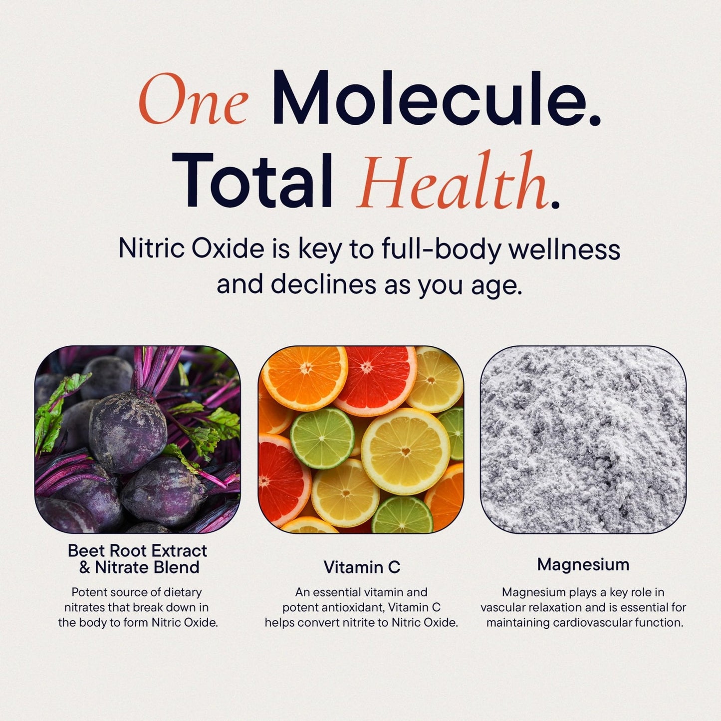 Berkeley Life Nitric Oxide Support Supplement - Nitric Oxide Booster for Men & Women - Blood Flow & Circulation with Beet Root Powder to Support Energy, - PrimeBioHealth - canada supplements