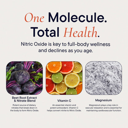 Berkeley Life Nitric Oxide Support Supplement - Nitric Oxide Booster for Men & Women - Blood Flow & Circulation with Beet Root Powder to Support Energy, - PrimeBioHealth - canada supplements