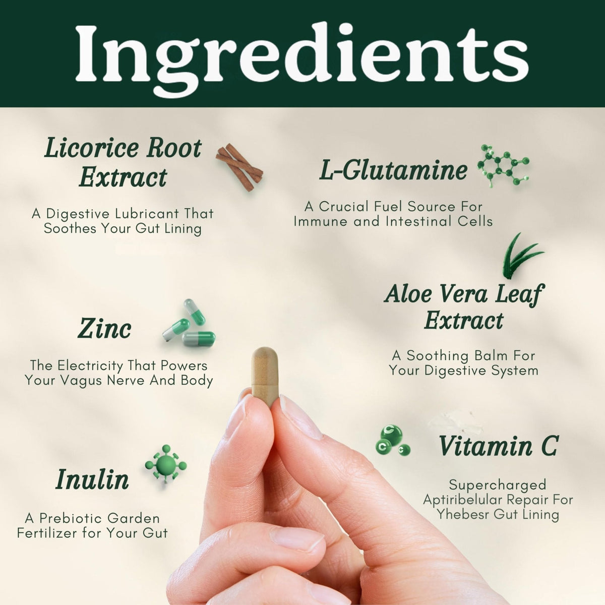 Best Days Formula | Advanced 5-in-1 Gut Support for Bloating, Gas & Irregularity | Soil-Based Probiotics + Prebiotics, L-Glutamine, Aloe Vera & More | 60 Capsules - PrimeBioHealth - canada supplements