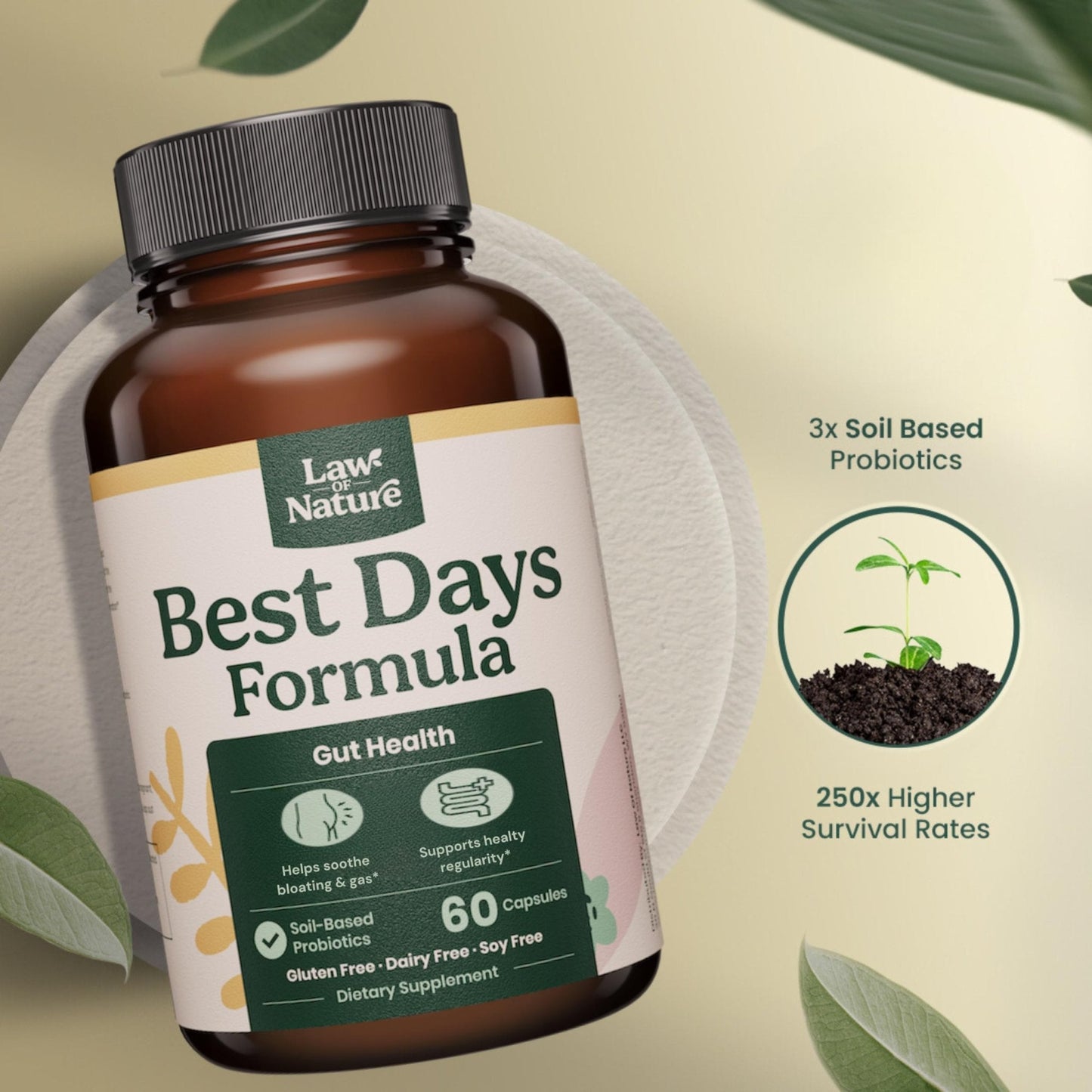 Best Days Formula | Advanced 5-in-1 Gut Support for Bloating, Gas & Irregularity | Soil-Based Probiotics + Prebiotics, L-Glutamine, Aloe Vera & More | 60 Capsules - PrimeBioHealth - canada supplements