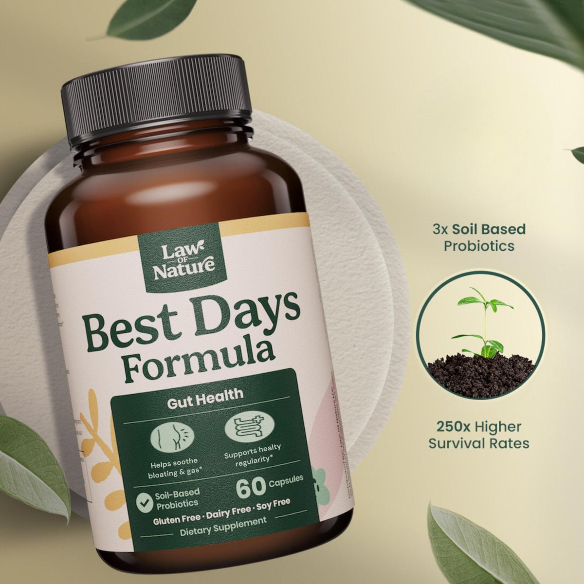 Best Days Formula | Advanced 5-in-1 Gut Support for Bloating, Gas & Irregularity | Soil-Based Probiotics + Prebiotics, L-Glutamine, Aloe Vera & More | 60 Capsules - PrimeBioHealth - canada supplements