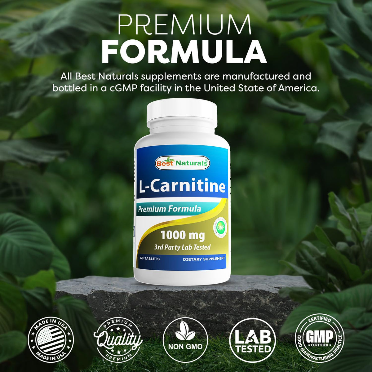 Best Naturals L-Carnitine 1000mg 60 Tablets (60 Count (Pack of 1)) - PrimeBioHealth - canada supplements