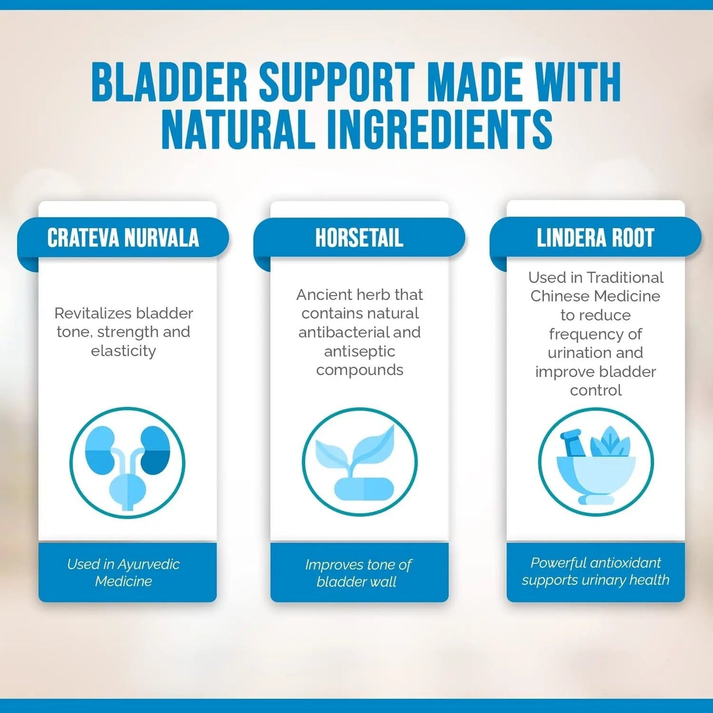 Better Bladder Control Supplement for Women & Men – Bladder Support Supplement to Help Reduce Urinary Leaks, Frequency & Urgency - 60 Count (1 Bottle) - PrimeBioHealth - canada supplements