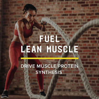 BEYOND RAW Creatine HCl Powder, Science Backed, Lab Grade, Creatine for Women & Men, Muscle Strength, Energy Production, Athletic Performance, Cognitive Support, - PrimeBioHealth - canada supplements