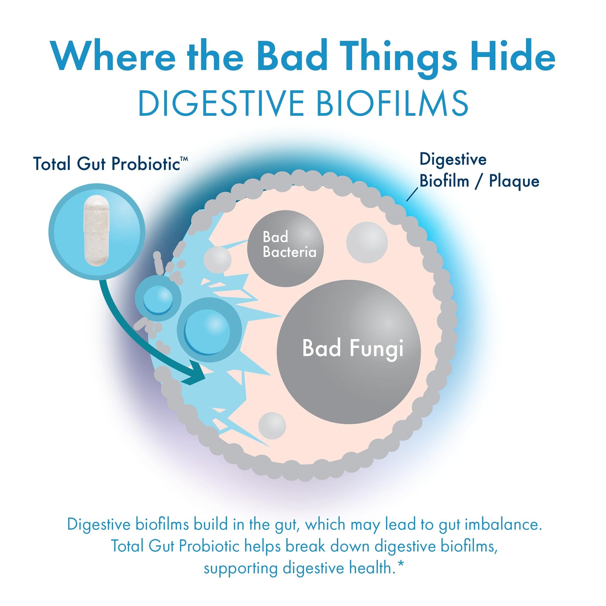 BIOHM Total Probiotic, 30 Billion CFU Daily Probiotics for Women & Men (30 Count) Helps Reduce Occasional Gas & Bloating, - PrimeBioHealth - canada supplements