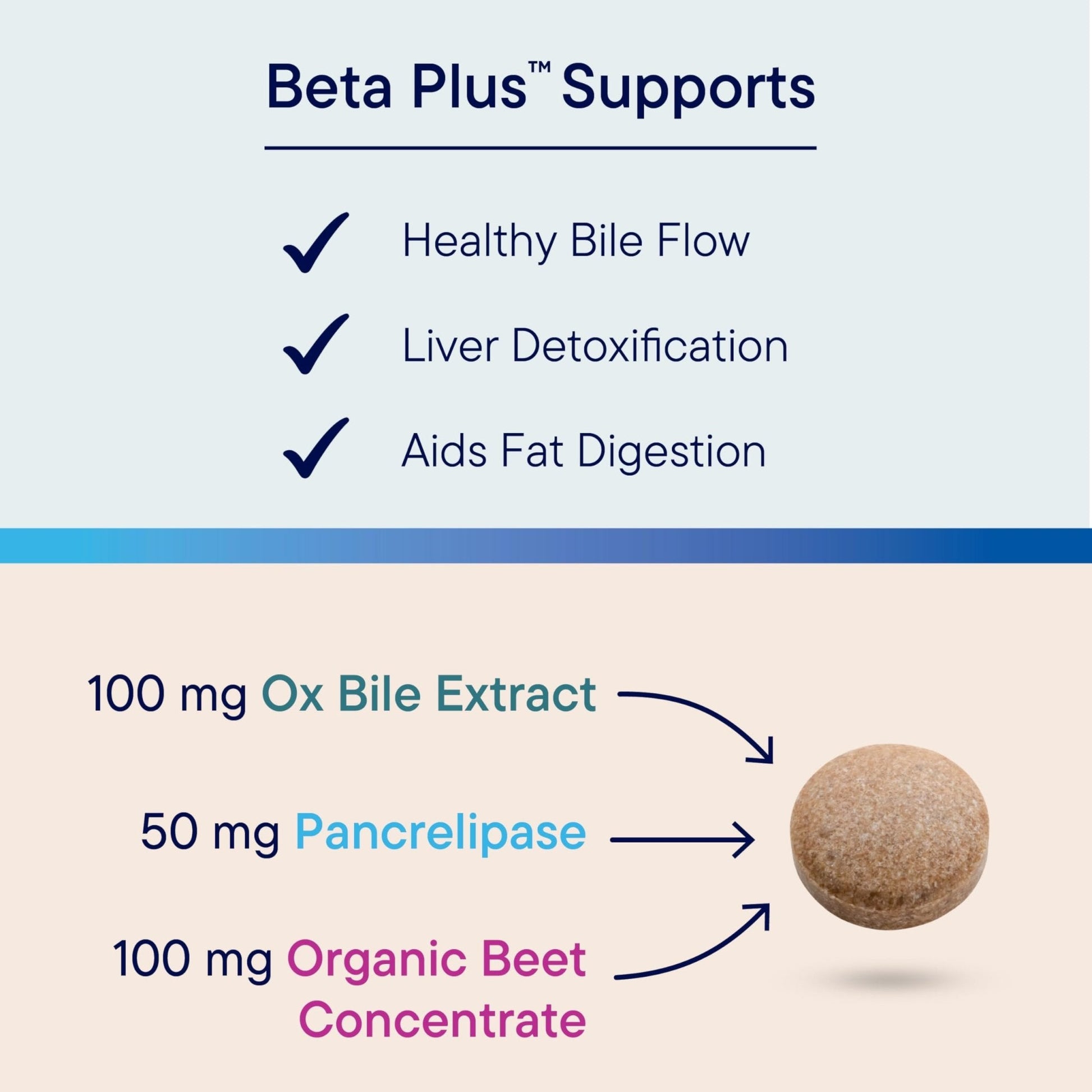 Biotics Research Beta-Plus™ Nutritional Ox Bile Salts Digestive Enzymes Supplement for Bile Production for No Gallbladder-Supports Overall Liver Function, Aids Fat Digestion, Supplies Betaine 90 Tabs - PrimeBioHealth - canada supplements