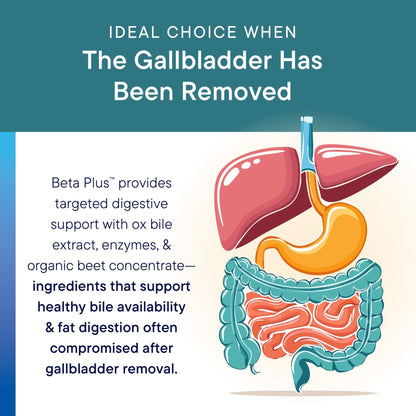 Biotics Research Beta-Plus™ Nutritional Ox Bile Salts Digestive Enzymes Supplement for Bile Production for No Gallbladder-Supports Overall Liver Function, Aids Fat Digestion, Supplies Betaine 90 Tabs - PrimeBioHealth - canada supplements