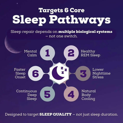 Black Forest Sleepy Hot Cocoa - Magnesium Hot Chocolate Sleepy Cocoa Sleep Powder for Adults with Melatonin & L-Theanine - Natural Sleep Drink Mix for Deep Sleep & Relaxation, - PrimeBioHealth - canada supplements
