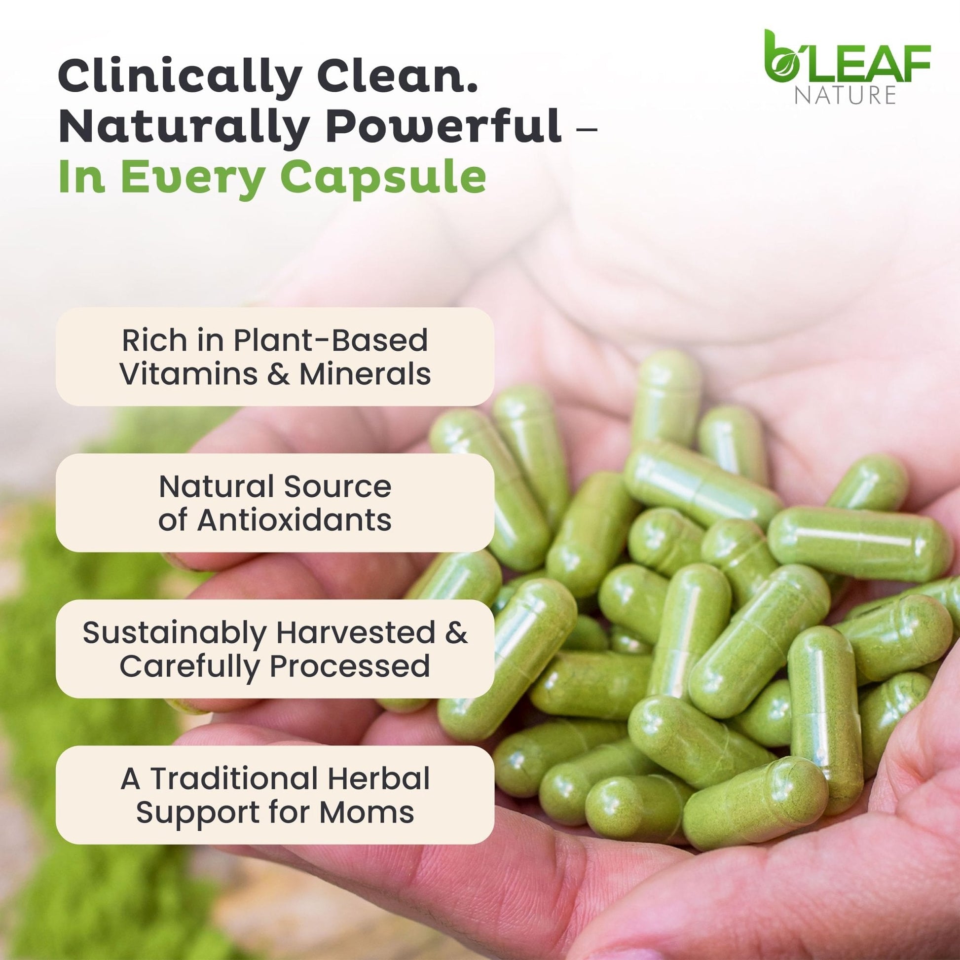 B'Leaf Nature Moringa Capsules Organic 1000mg — Pure Moringa Oleifera Leaf Powder Capsules for Energy & Immune Support - PrimeBioHealth - canada supplements