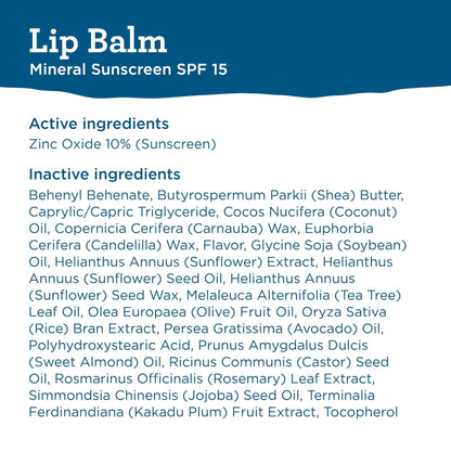 BLUE LIZARD Mineral SPF 15 Lip Balm, 3-Pack: Broad Spectrum Sun Protection, Natural Coconut Flavor, 8 Natural Oils - PrimeBioHealth - canada supplements