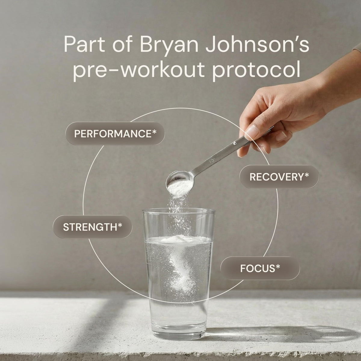 Blueprint Bryan Johnson Creatine Monohydrate Powder – Amino Acid Powder - Supplement Supports Muscle Growth, Recovery, Strength & Focus – Unflavored Creatine for Women & Men – 5g Dose – 100 Servings - PrimeBioHealth - canada supplements