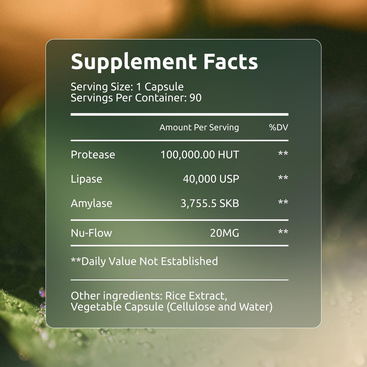 Boulder Bio Digestive Enzymes | 40,000 USP Lipase - Prescription Strength Pancreatic Enzyme Replacement Formula for Fat Digestion, Gut Health & Nutrient Absorption - PrimeBioHealth - canada supplements