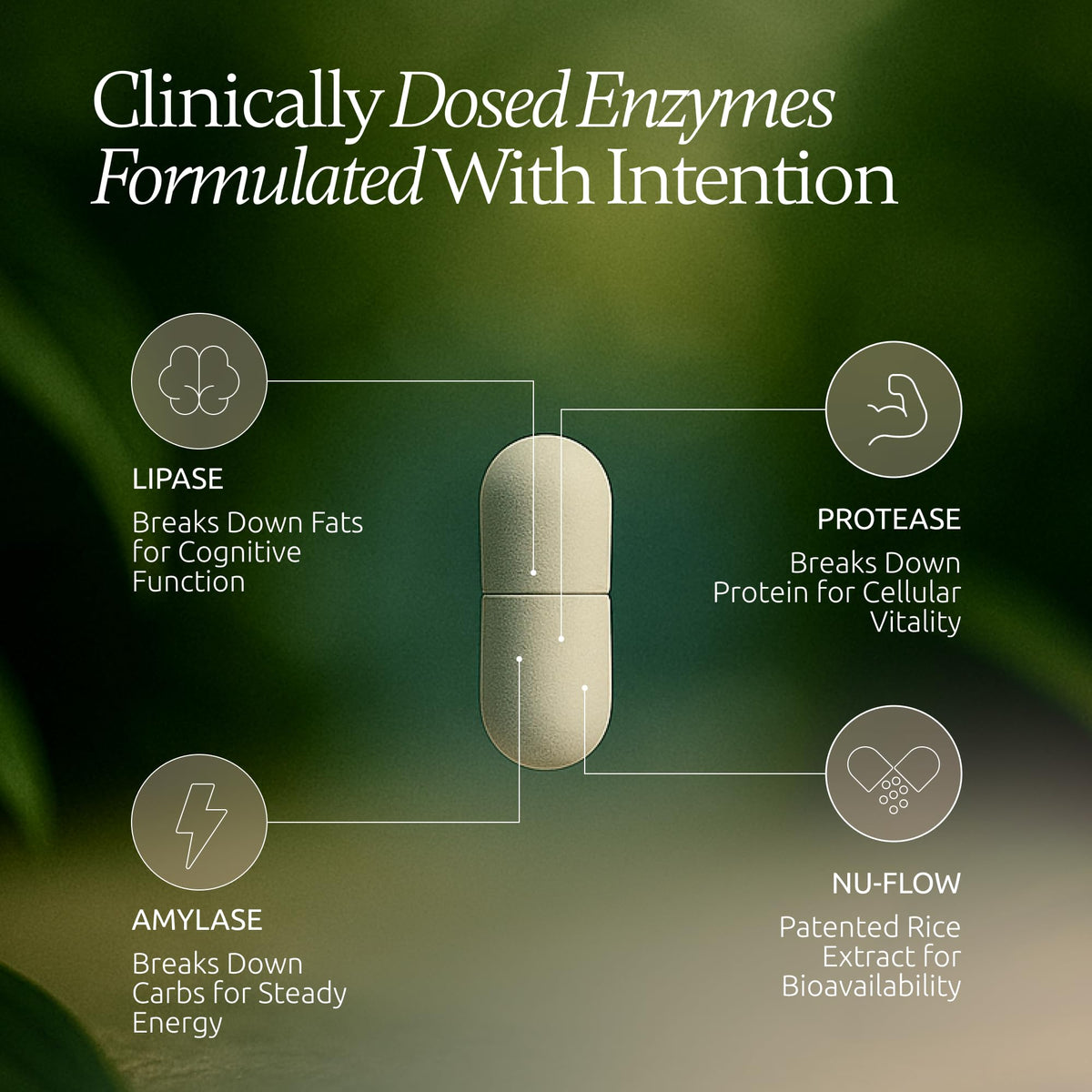 Boulder Bio Digestive Enzymes | 40,000 USP Lipase - Prescription Strength Pancreatic Enzyme Replacement Formula for Fat Digestion, Gut Health & Nutrient Absorption - PrimeBioHealth - canada supplements