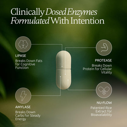 Boulder Bio Digestive Enzymes | 40,000 USP Lipase - Prescription Strength Pancreatic Enzyme Replacement Formula for Fat Digestion, Gut Health & Nutrient Absorption - PrimeBioHealth - canada supplements