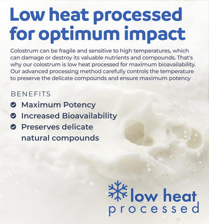 Bovine Colostrum for Women - Colostrum Supplement with 1,000mg per Serving and 30% IgG Immunoglobulins from First Milking - Low Heat Processed for Maximum Potency Non-GMO & Made in the US (2 Month) - PrimeBioHealth - canada supplements