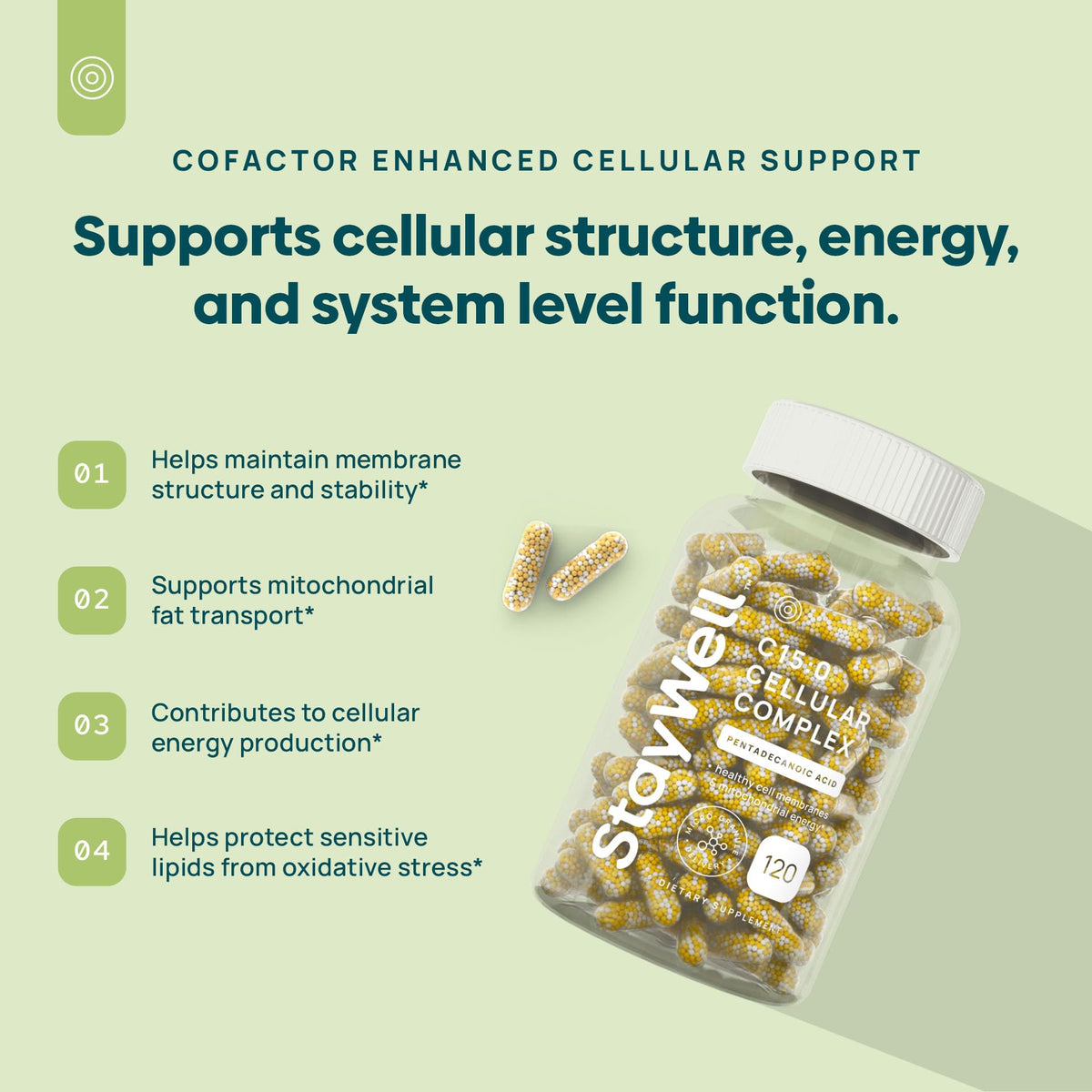 C15:0 Pentadecanoic Acid Supplement | Longevity, Cellular & Membrane Support, Micro-Granule Enhanced Absorption, Phosphatidylcholine, L-Carnitine, - PrimeBioHealth - canada supplements