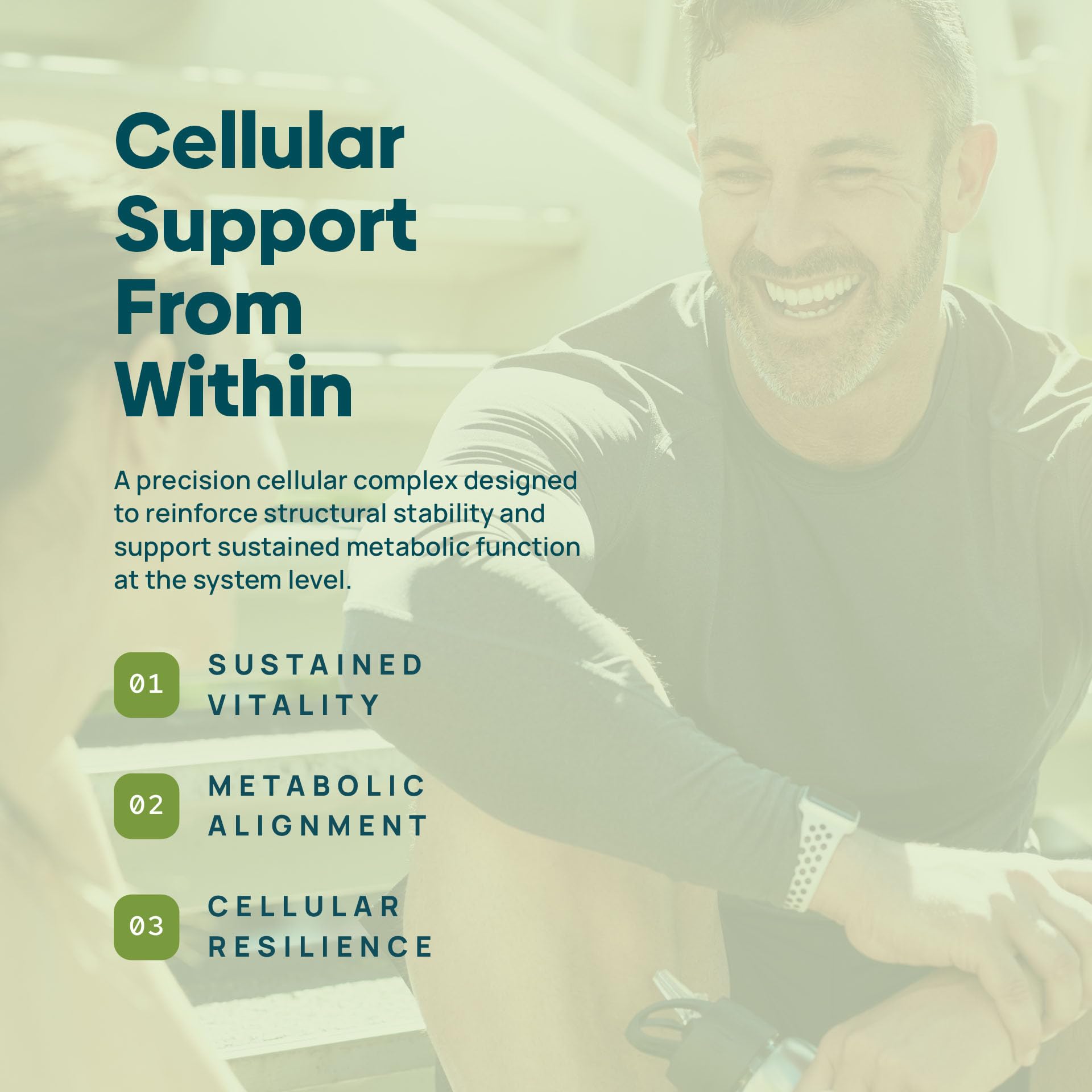 C15:0 Pentadecanoic Acid Supplement | Longevity, Cellular & Membrane Support, Micro-Granule Enhanced Absorption, Phosphatidylcholine, L-Carnitine, - PrimeBioHealth - canada supplements