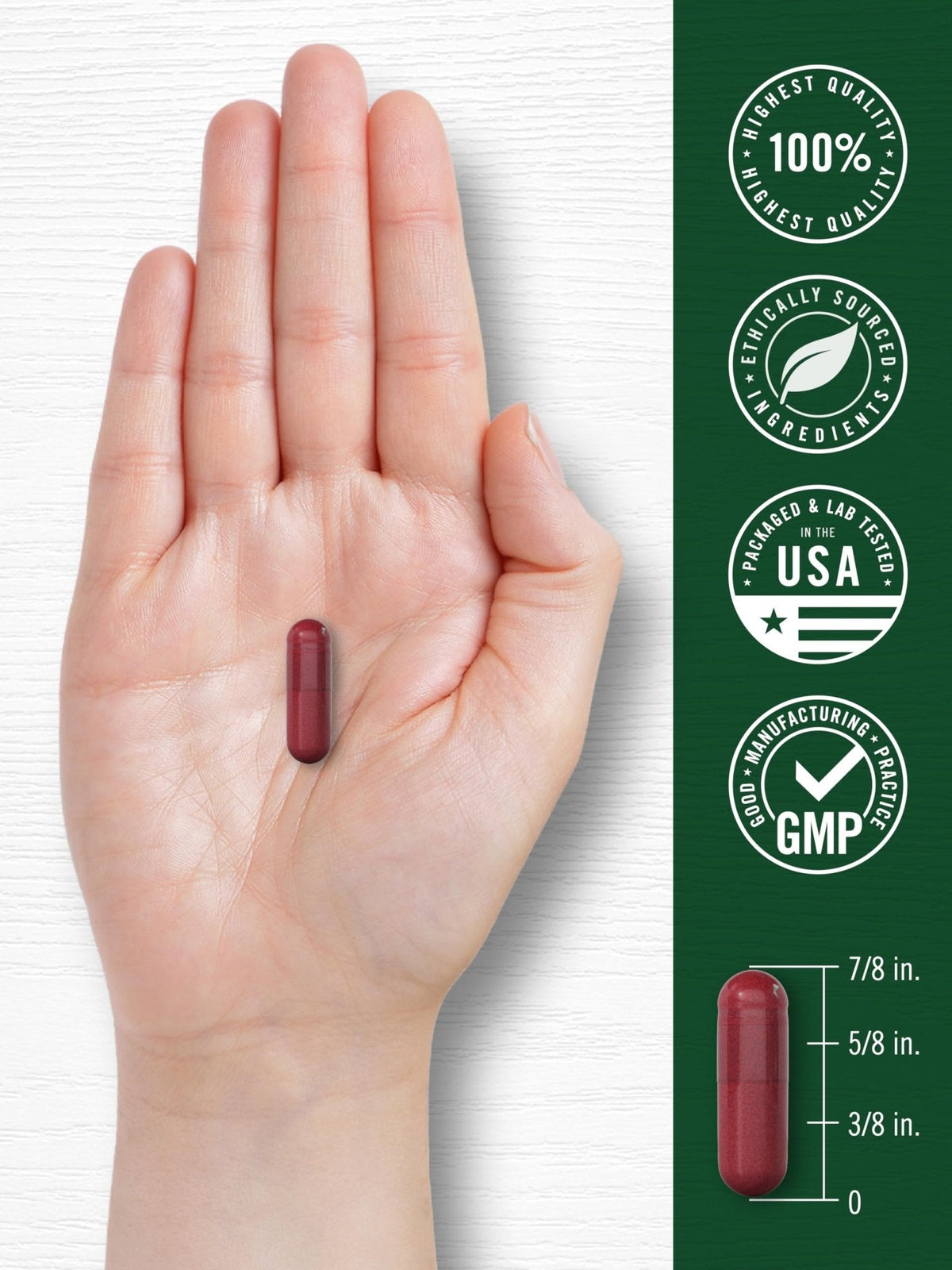 Carlyle Beet Root Capsules | 120 Count | Quick Release Capsules | Non-GMO and Gluten Free Supplement - PrimeBioHealth - canada supplements