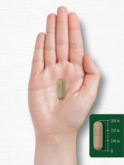 Carlyle Gotu Kola Capsules | 180 Count | Non-GMO, Gluten Free | Traditional Herb Extract - PrimeBioHealth - canada supplements
