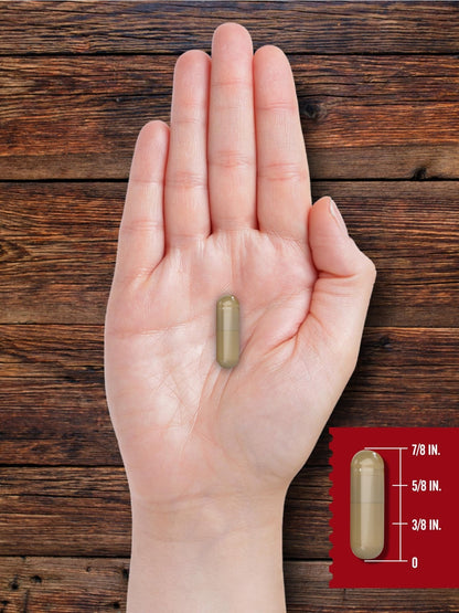 Carlyle Grass Fed Beef Organ Complex | 200 Capsules | Pasture Raised, Grain Free Supplement | with Desiccated Liver, Kidney, Pancreas, Heart, Spleen - PrimeBioHealth - canada supplements