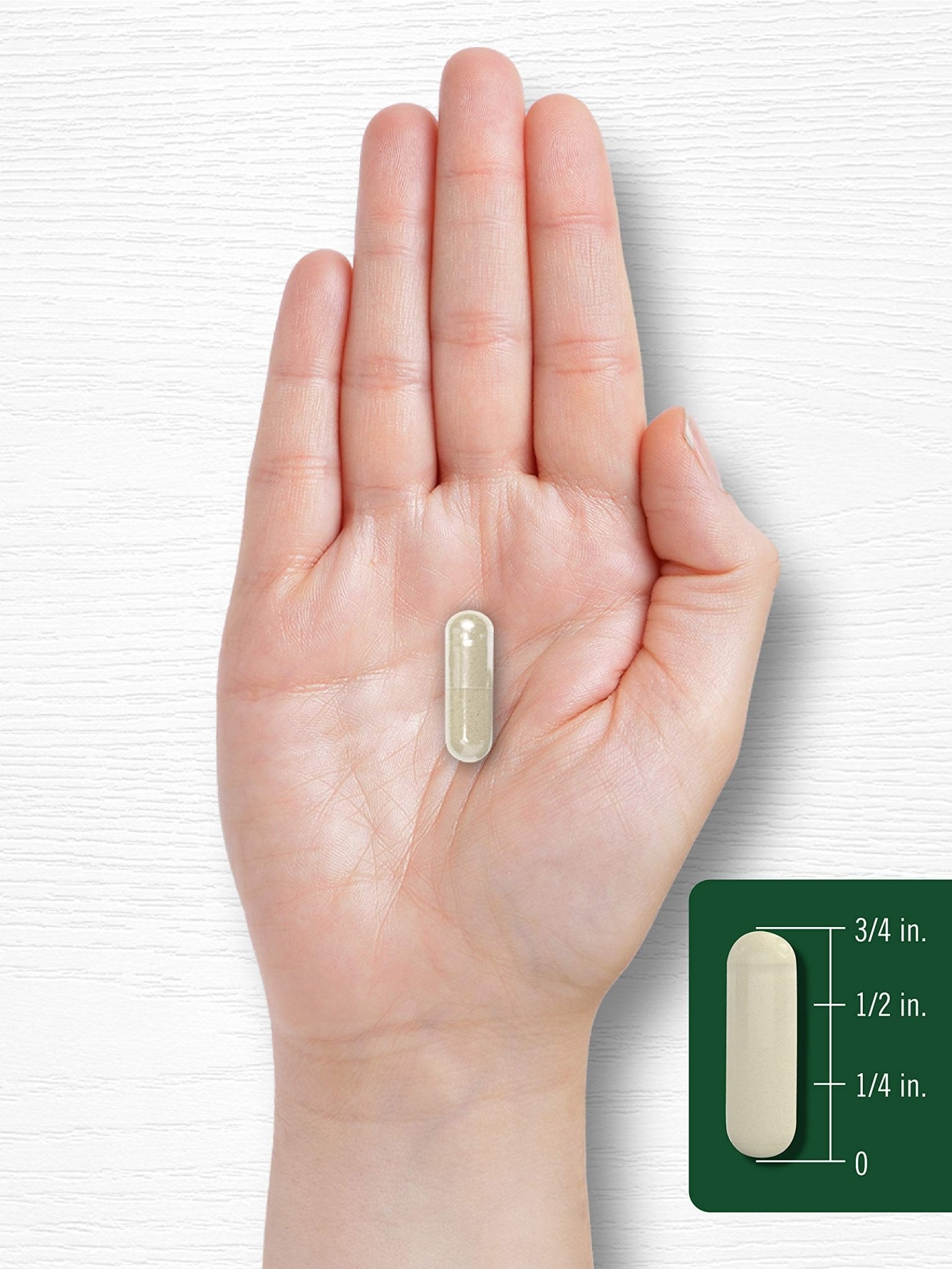 Carlyle Gymnema Sylvestre Capsules | 200 Count | Non-GMO and Gluten Free Supplement - PrimeBioHealth - canada supplements