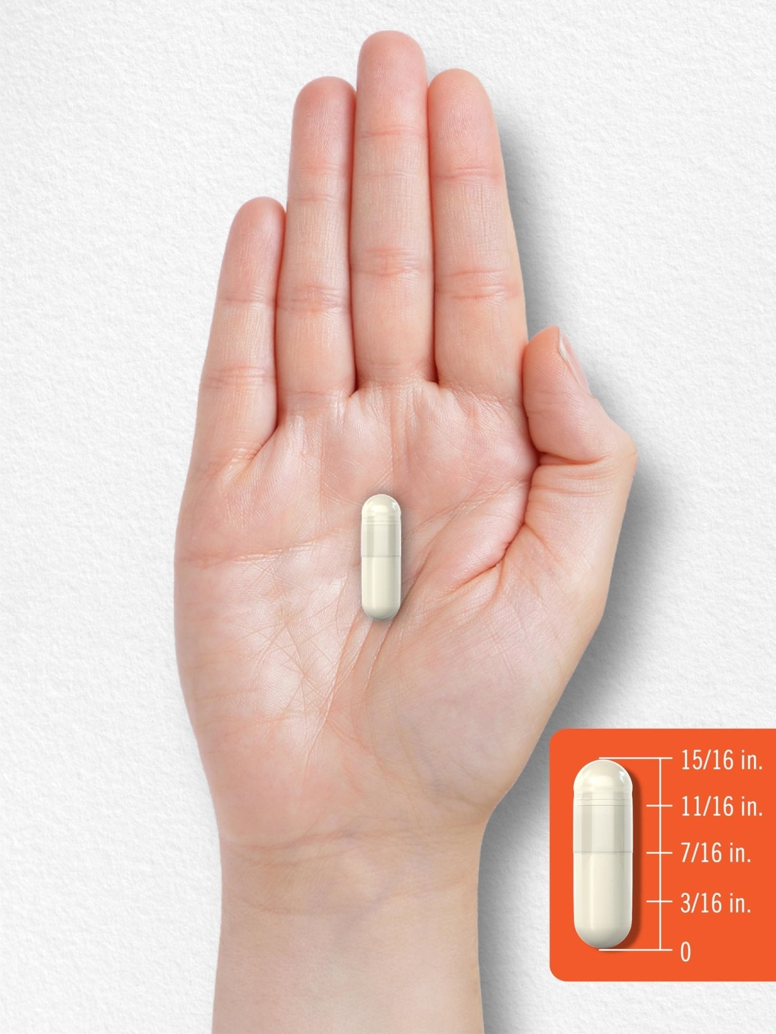Carlyle Probiotic with Prebiotics & Postbiotics | 25 Billion CFU | 60 Capsules | Supplement for Women & Men | Powder Pills - PrimeBioHealth - canada supplements