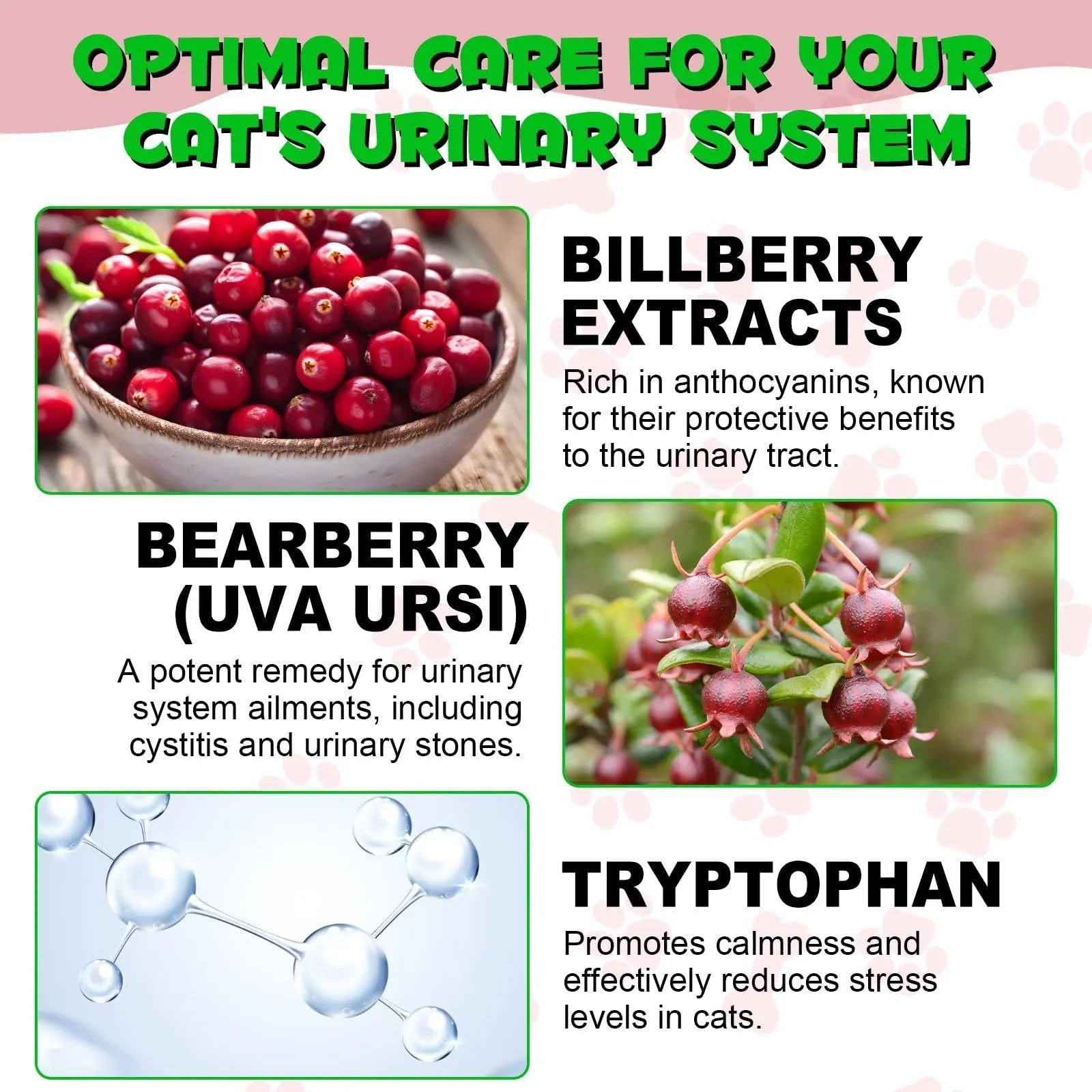 Cat Urinary Tract Infection Treatment, Cat UTI Treatment Drops Supports Bladder, Kidney Stone, Cranberry Kidney Bladder Support Supplement, Chicken Flavor, 60ml - PrimeBioHealth - canada supplements