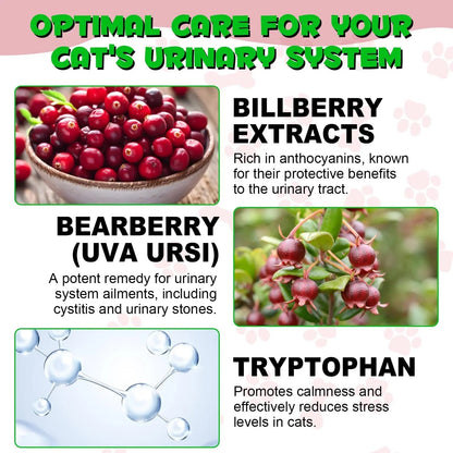 Cat Urinary Tract Infection Treatment, Cat UTI Treatment Drops Supports Bladder, Kidney Stone, Cranberry Kidney Bladder Support Supplement, Chicken Flavor, 60ml - PrimeBioHealth - canada supplements