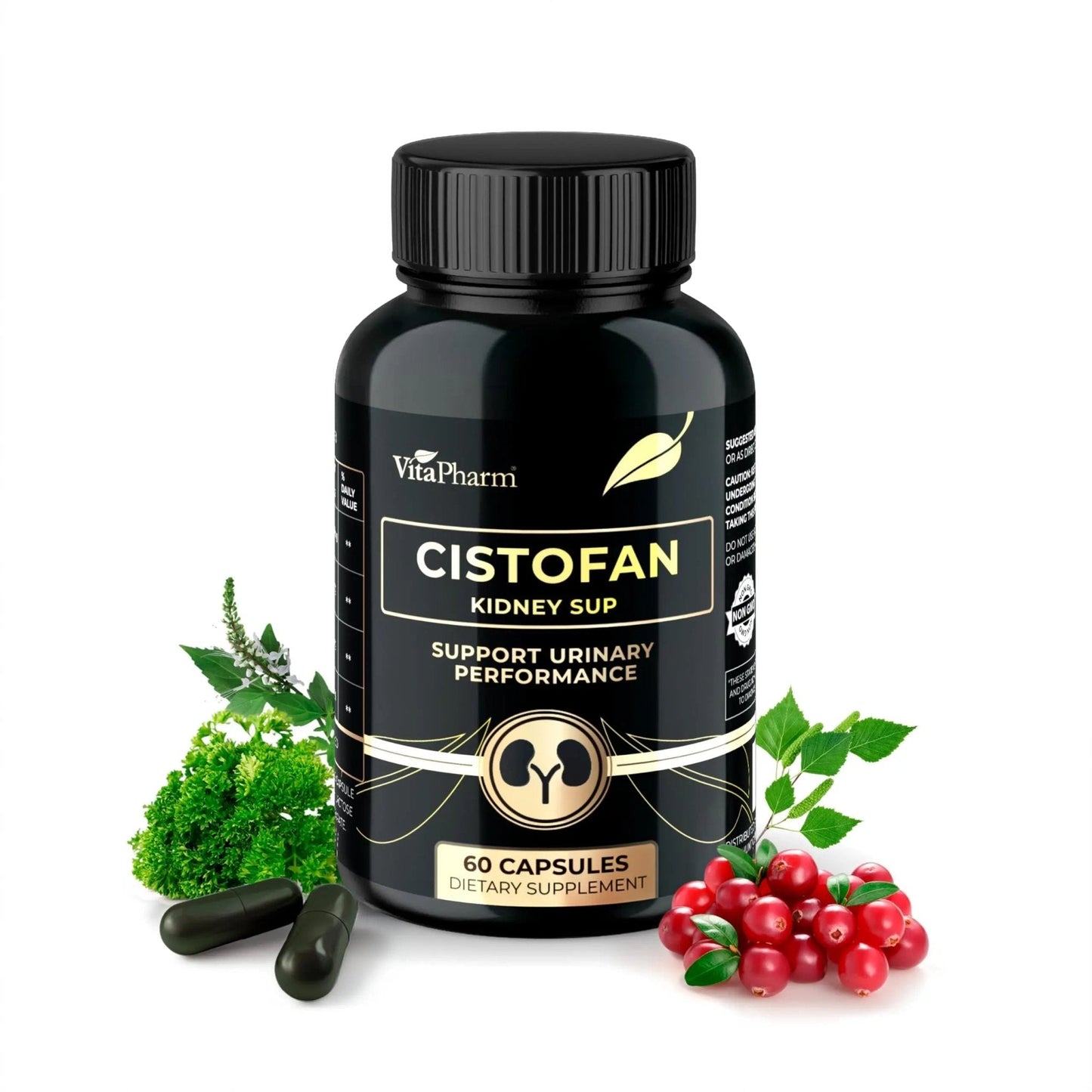 CISTOFAN Kidney Support Supplement – Herbal Formula with Java Tea, Birch Leaf, Parsley & Cranberry – Supports Urinary Tract & Kidney Function – Natural Diuresis – 60 Capsules – Non-GMO – Made in EU - PrimeBioHealth - canada supplements