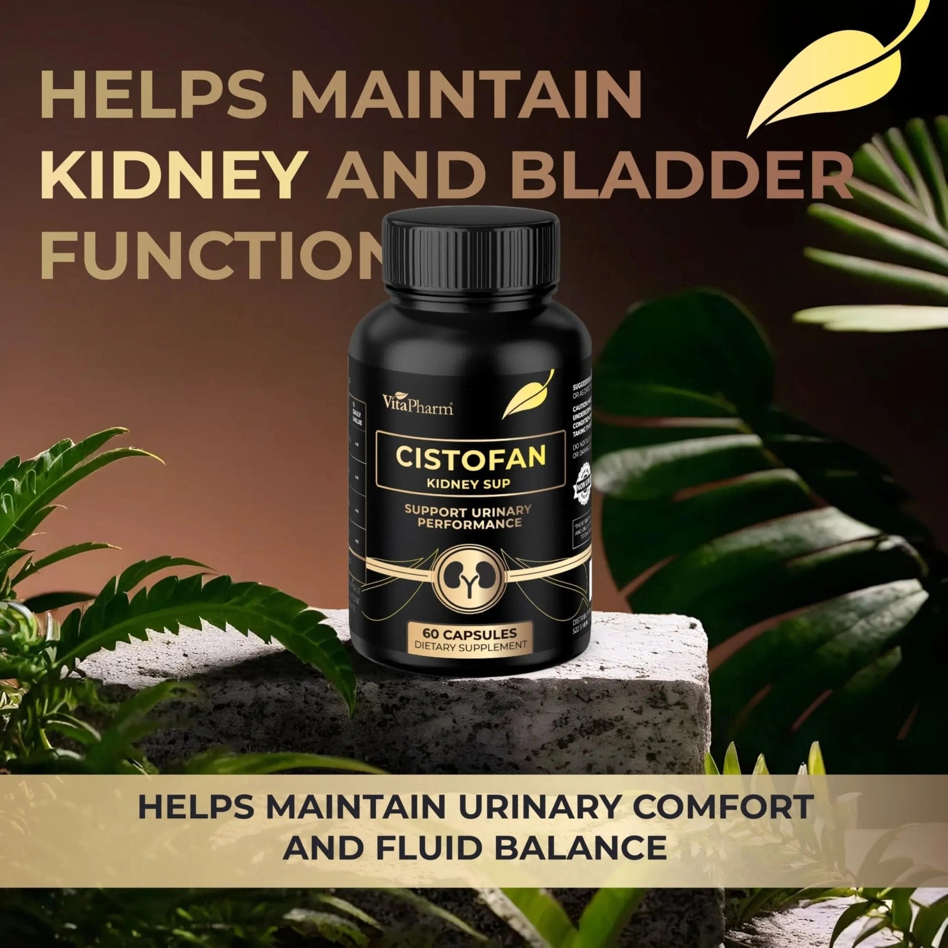 CISTOFAN Kidney Support Supplement – Herbal Formula with Java Tea, Birch Leaf, Parsley & Cranberry – Supports Urinary Tract & Kidney Function – Natural Diuresis – 60 Capsules – Non-GMO – Made in EU - PrimeBioHealth - canada supplements