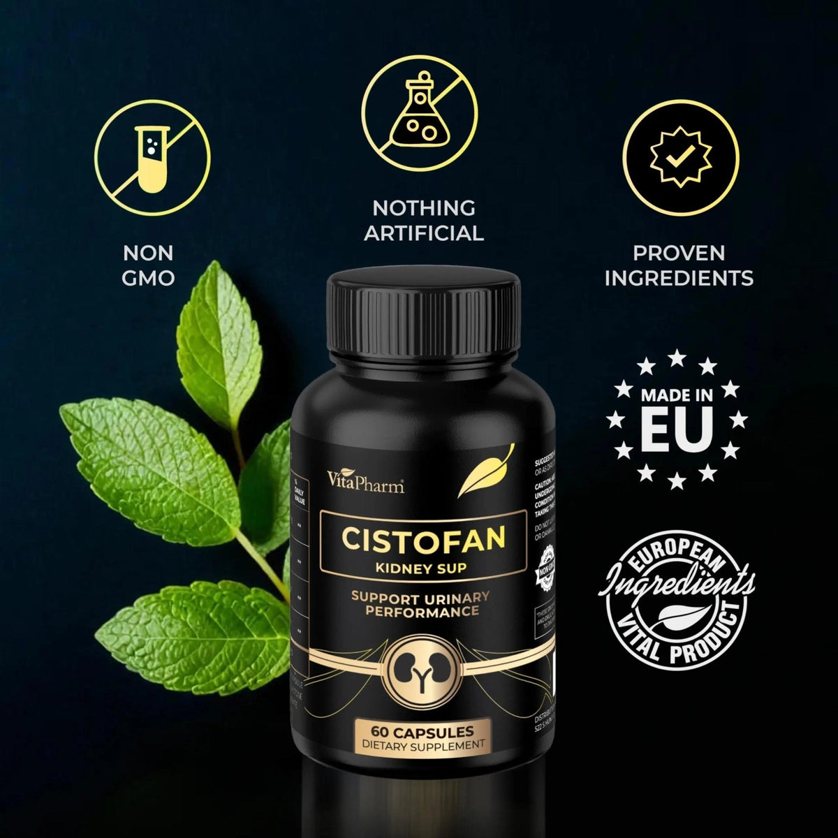 CISTOFAN Kidney Support Supplement – Herbal Formula with Java Tea, Birch Leaf, Parsley & Cranberry – Supports Urinary Tract & Kidney Function – Natural Diuresis – 60 Capsules – Non-GMO – Made in EU - PrimeBioHealth - canada supplements