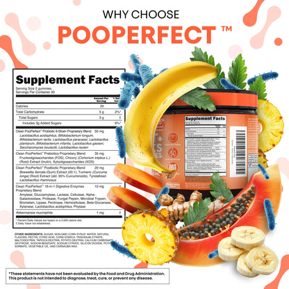 Clean Nutra Prebiotic Postbiotic Digestive Enzymes Gummies with Chicory Root, Boswellia Serrata, Turmeric, and Akkermansia | Pre+Post Probiotics Supplement - PrimeBioHealth - canada supplements