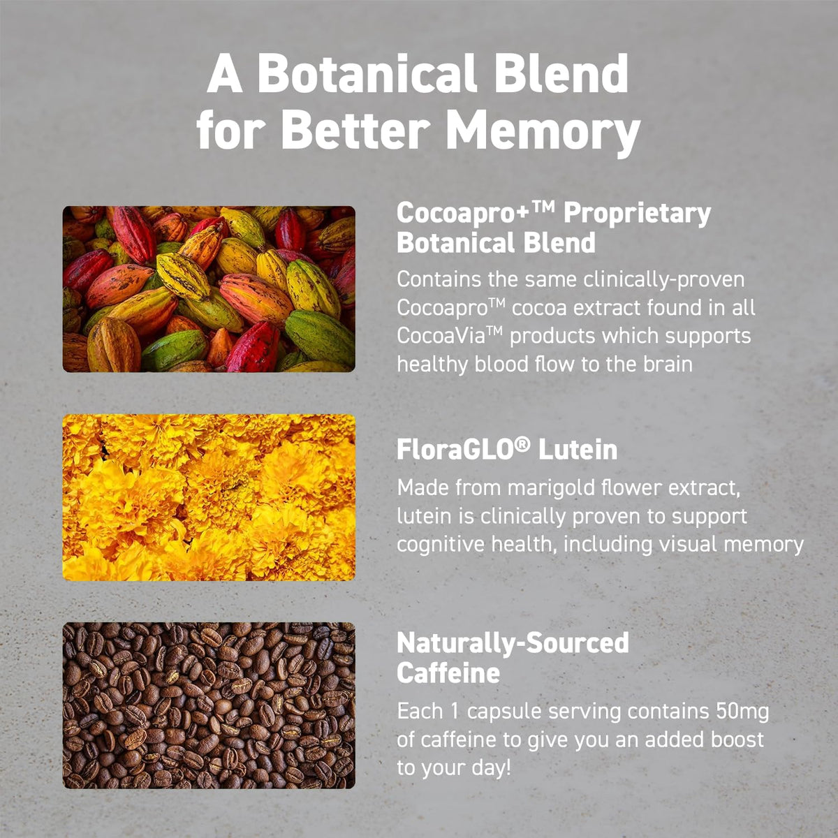 CocoaVia Memory & Focus Brain Supplement, 30 Day, Cocoa Flavanol Blend, Lutein, Added Caffeine for Boost. Improve Cognitive Function, Attention, Vegan & Plant Based, 30 Capsules - PrimeBioHealth - canada supplements