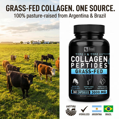 Collagen Peptides Capsules 360 Count - Grass Fed Bovine Hydrolyzed Collagen Pills - Hair, Skin & Nails, Joint Support - Collagen Supplements for Women & Men - PrimeBioHealth - canada supplements
