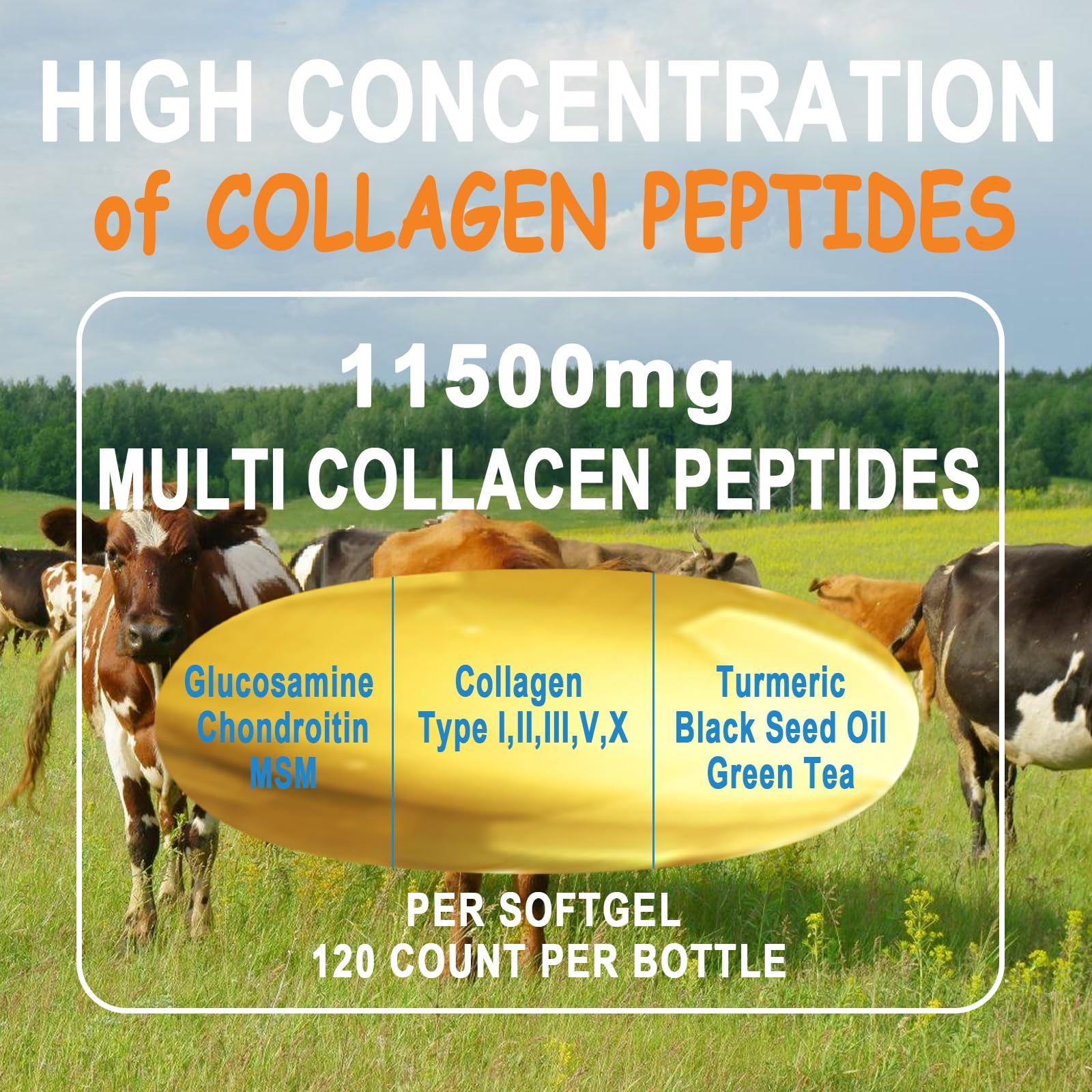 Collagen Peptides Softgels, Multi Collagen Peptide w/ Glucosamine Chondroitin MSM Biotin, Hydrolyzed Collagen Peptides Complex for Women Supports Skin Hair - PrimeBioHealth - canada supplements