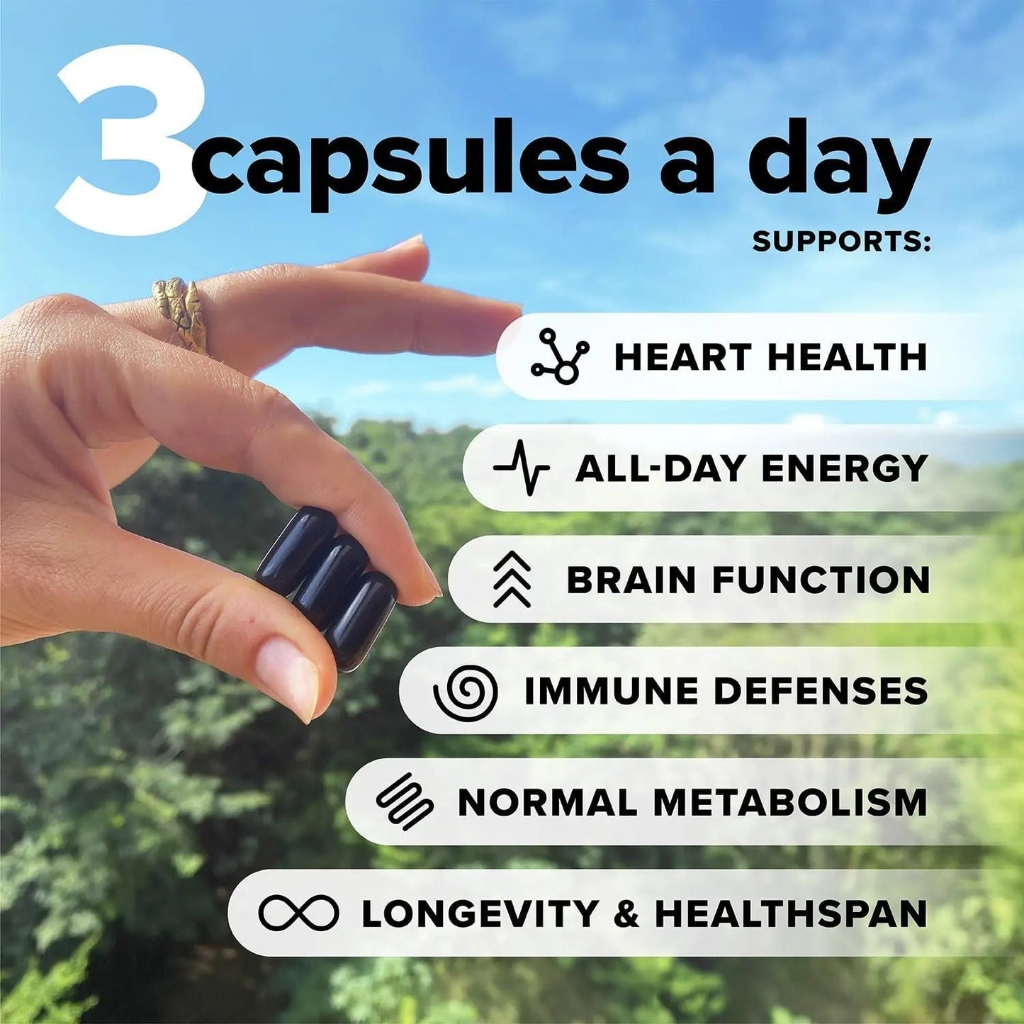Complement Essential Vegan Multivitamin for Men & Women (60 Servings, 180 Capsules) with Omega-3 DHA & EPA, B12, Vitamin D3 & K2 - PrimeBioHealth - canada supplements