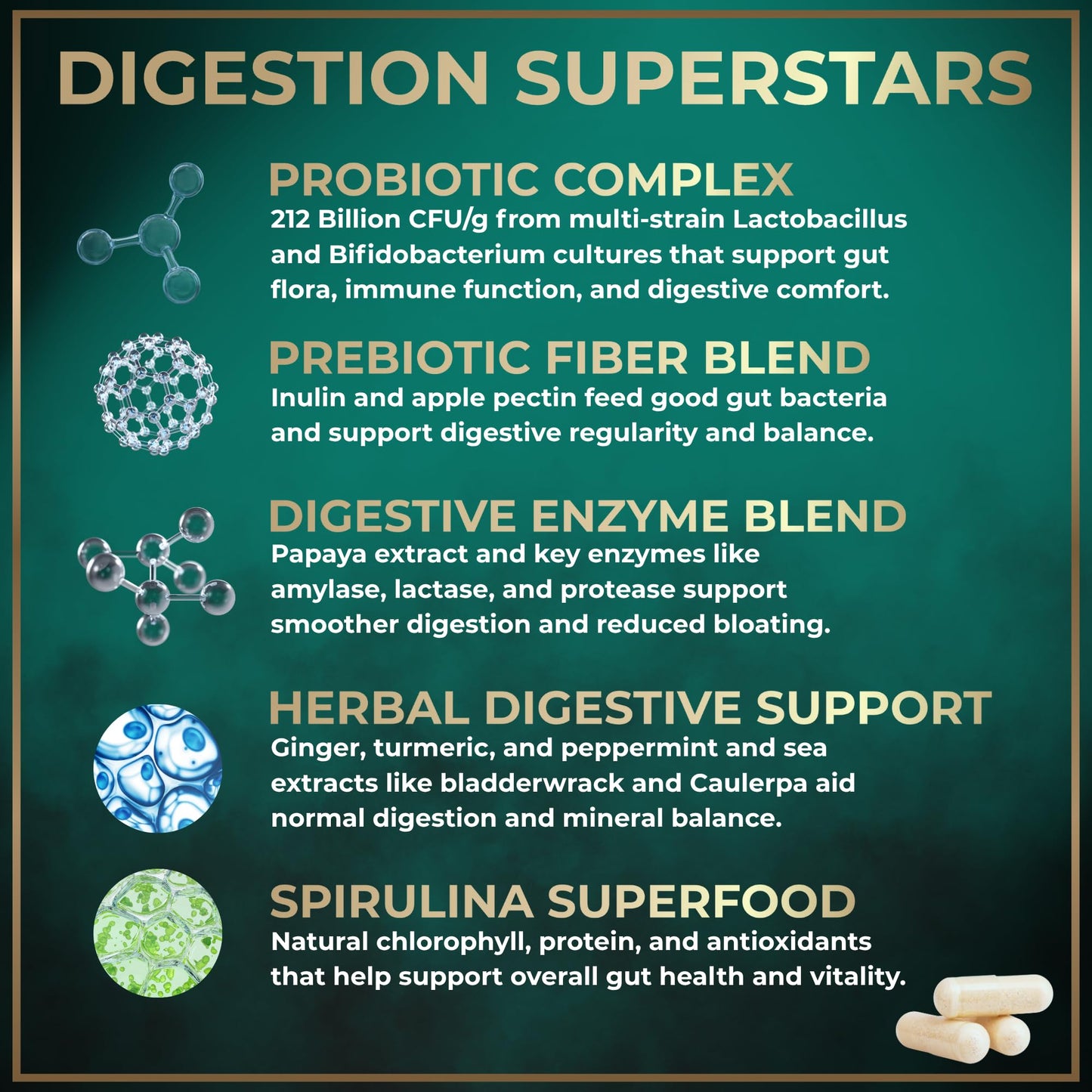 Complete Digestive Enzymes for Women & Men - 800mg Vegan Digestive Enzymes and Probiotics Prebiotics - Bloating Support, Gut Health & Digestion Supplement - PrimeBioHealth - canada supplements