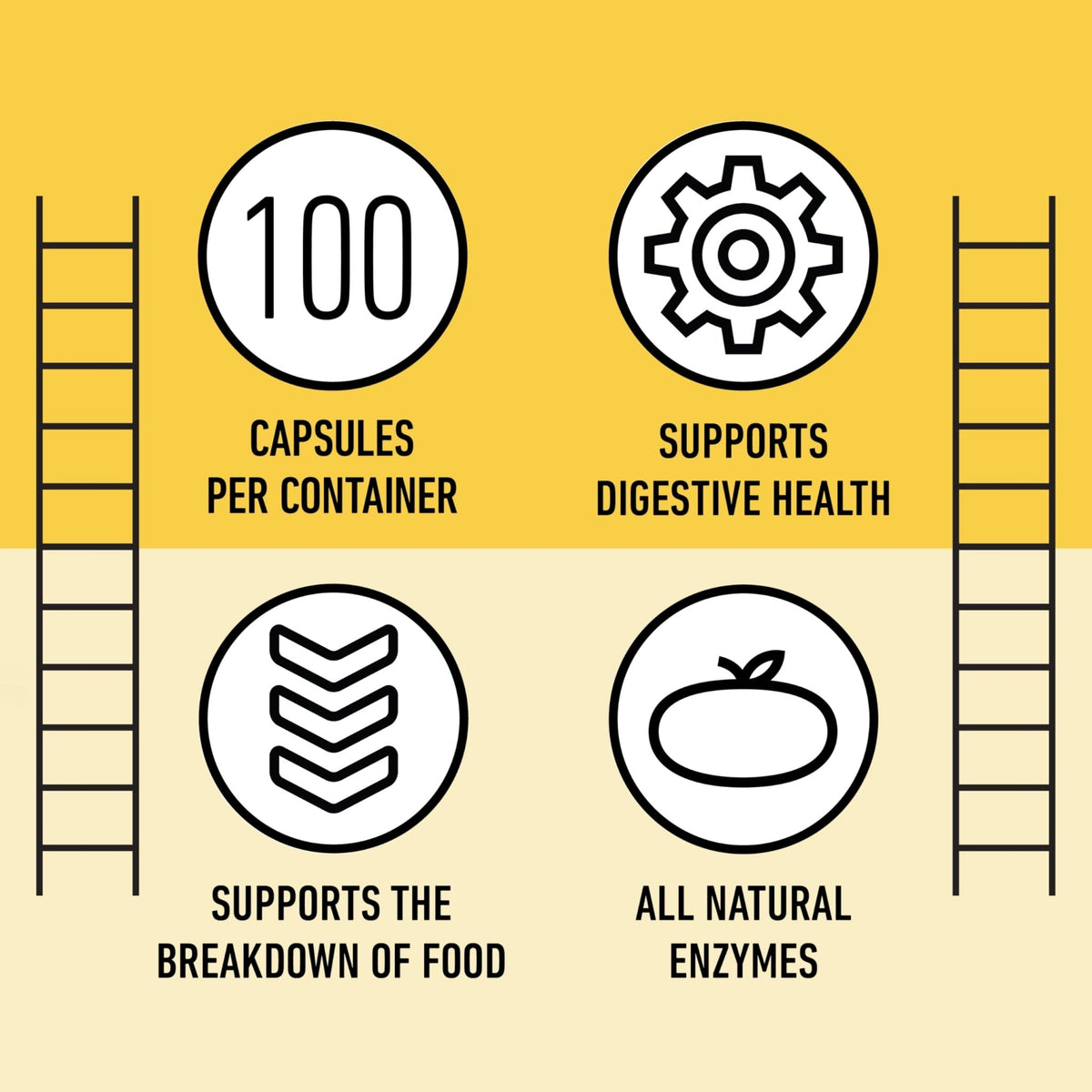 Complete Natural Products Digestive Enzyme Capsules, 550mg, 100ct | Plant-Based Formula - PrimeBioHealth - canada supplements