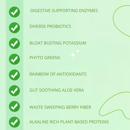 Consult Health Gut-Duction Bloat Control – Gut Health Support Superfood Formula – Plant Based Proteins - Probiotics – Powder Drink Mix – 28 Servings – 9.9 oz. - PrimeBioHealth - canada supplements