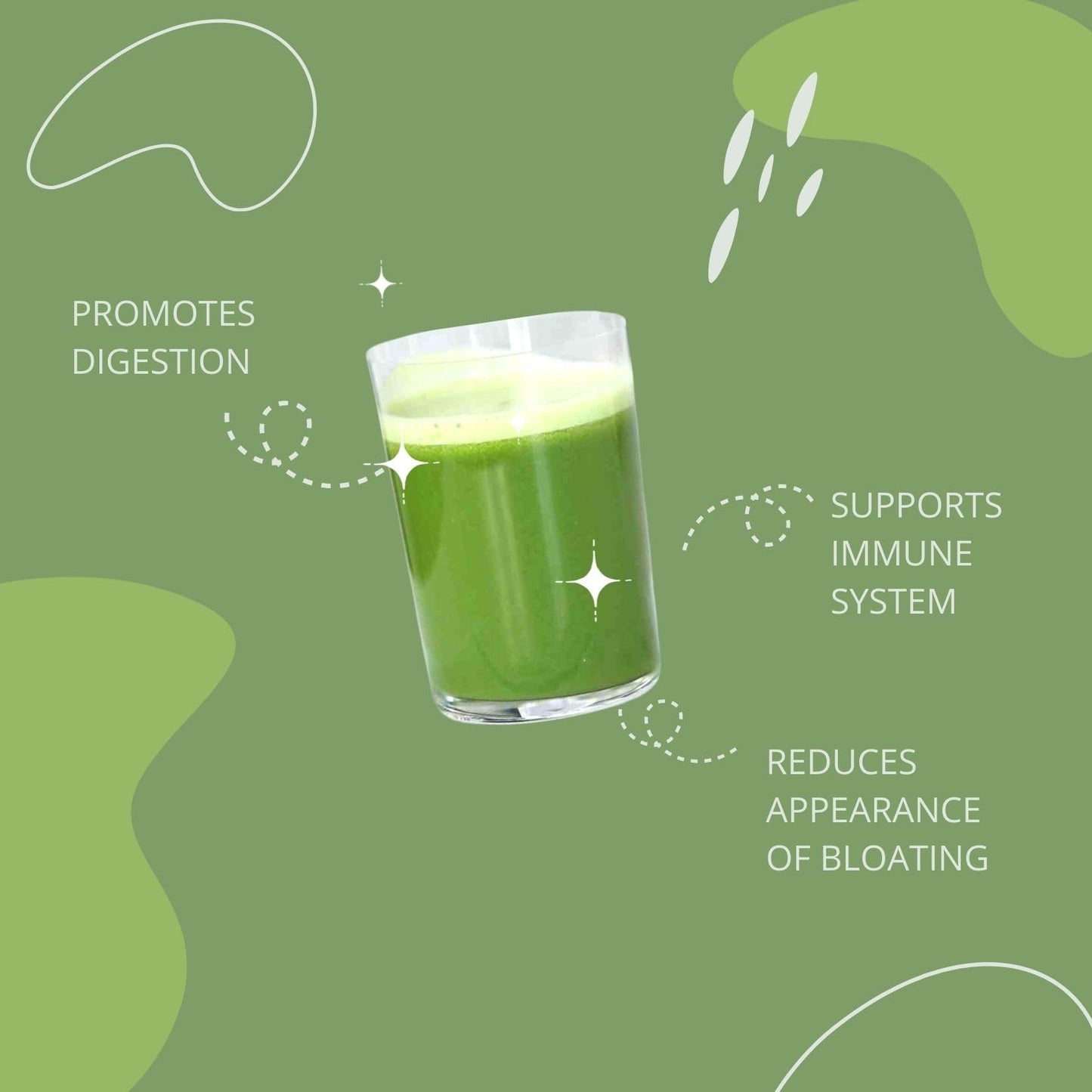 Consult Health Gut-Duction Bloat Control – Gut Health Support Superfood Formula – Plant Based Proteins - Probiotics – Powder Drink Mix – 28 Servings – 9.9 oz. - PrimeBioHealth - canada supplements