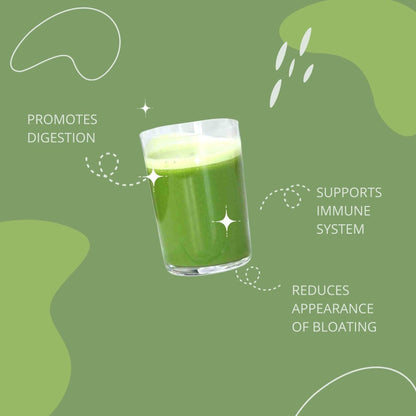 Consult Health Gut-Duction Bloat Control – Gut Health Support Superfood Formula – Plant Based Proteins - Probiotics – Powder Drink Mix – 28 Servings – 9.9 oz. - PrimeBioHealth - canada supplements