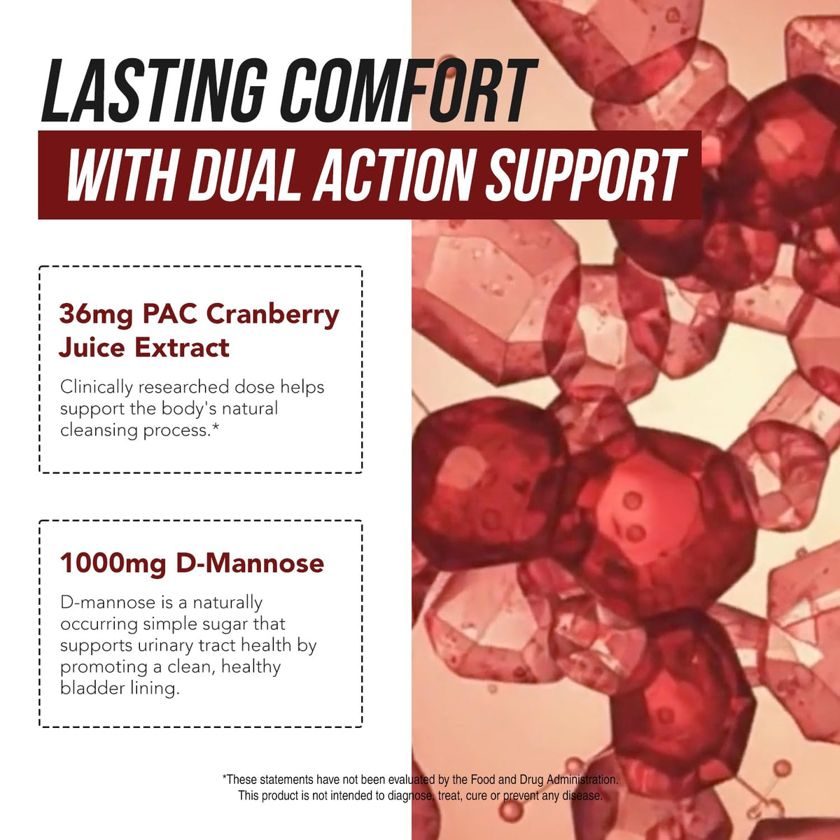 CranEaze®: Cranberry Juice Extract Plus D-Mannose – 36 mg PAC, 100% Soluble PAC - Supports Urinary Tract Health – Most Effective Cranberry Pills for Women, UTI Cranberry Supplement - 60 Capsules - PrimeBioHealth - canada supplements