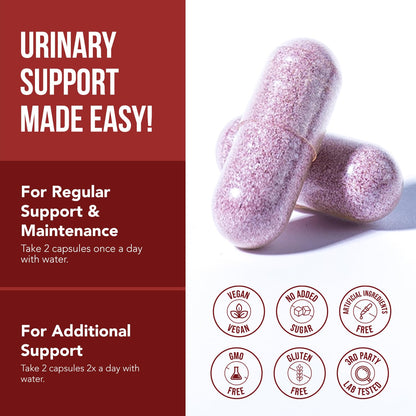 CranEaze®: Cranberry Juice Extract Plus D-Mannose – 36 mg PAC, 100% Soluble PAC - Supports Urinary Tract Health – Most Effective Cranberry Pills for Women, UTI Cranberry Supplement - 60 Capsules - PrimeBioHealth - canada supplements