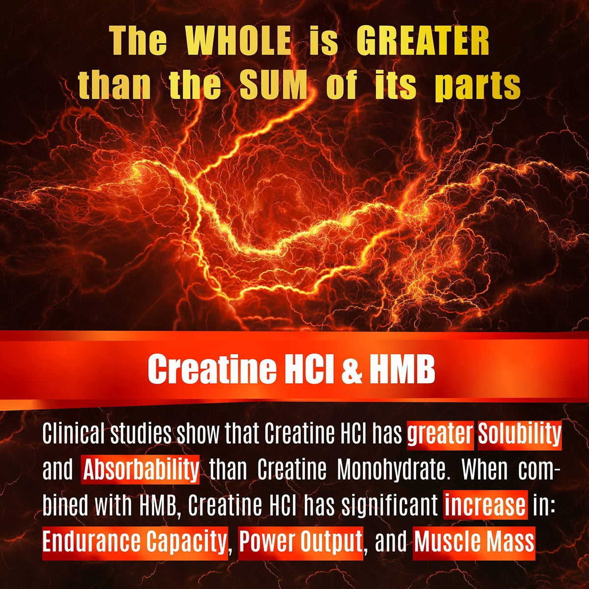Creatine HCL Capsules with HMB - Workout Supplement for Men & Women, Muscle Builder, Endurance, Strength, Superior to Monohydrate: Instantized for Max Absorption, No Load - PrimeBioHealth - canada supplements