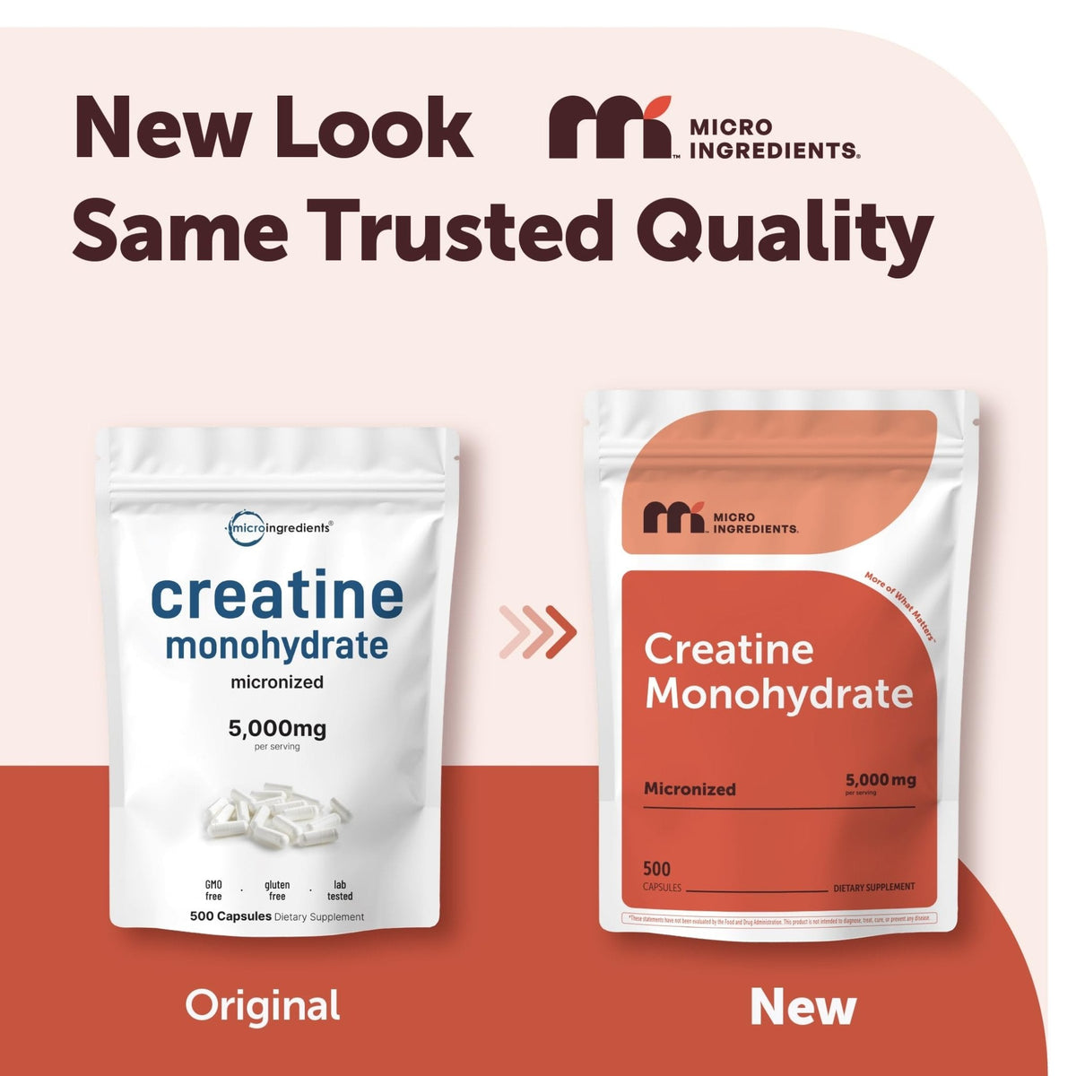 Creatine Monohydrate 5,000mg, 500 Capsules | Pure Creatine Pills – Micronized + Unflavored Powder Source, Easy Absorption | Keto, Non-GMO - PrimeBioHealth - canada supplements