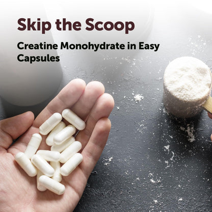 Creatine Monohydrate 5,000mg, 500 Capsules | Pure Creatine Pills – Micronized + Unflavored Powder Source, Easy Absorption | Keto, Non-GMO - PrimeBioHealth - canada supplements