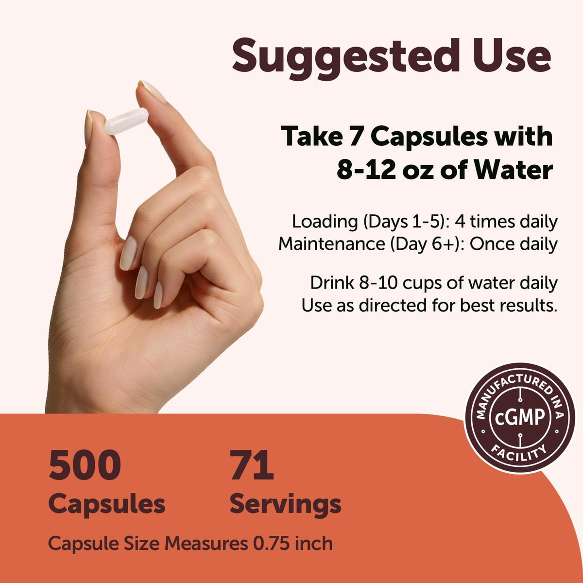 Creatine Monohydrate 5,000mg, 500 Capsules | Pure Creatine Pills – Micronized + Unflavored Powder Source, Easy Absorption | Keto, Non-GMO - PrimeBioHealth - canada supplements