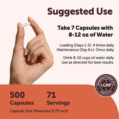 Creatine Monohydrate 5,000mg, 500 Capsules | Pure Creatine Pills – Micronized + Unflavored Powder Source, Easy Absorption | Keto, Non-GMO - PrimeBioHealth - canada supplements