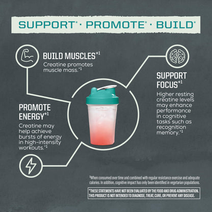 Creatine Monohydrate Powder Micronized PreWorkout Recovery Supplement | Support Muscle Building Strength Training Cognition | Vegan & Keto Friendly Easily Mixes - PrimeBioHealth - canada supplements